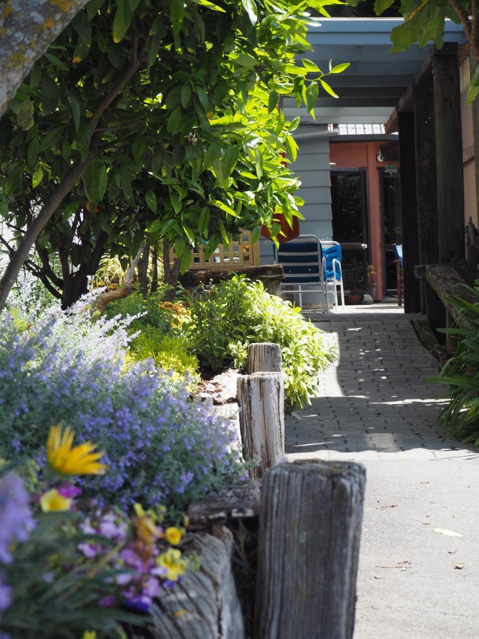 Tasman Bay Backpackers Hostel Nelson Kültér fotó